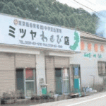 みつやわさび店