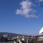 沼津港
